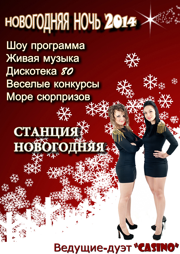 Новогодняя ночь 2014