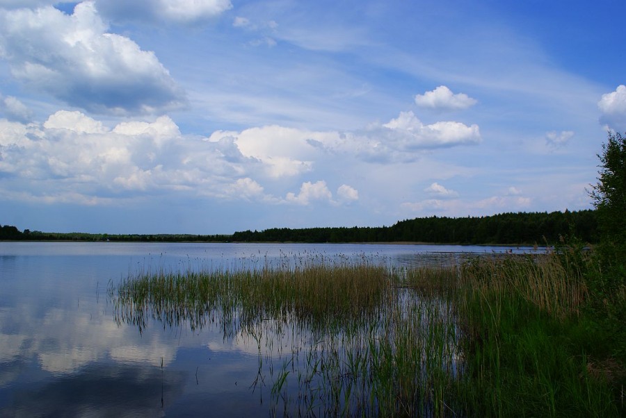 Тюков Град520