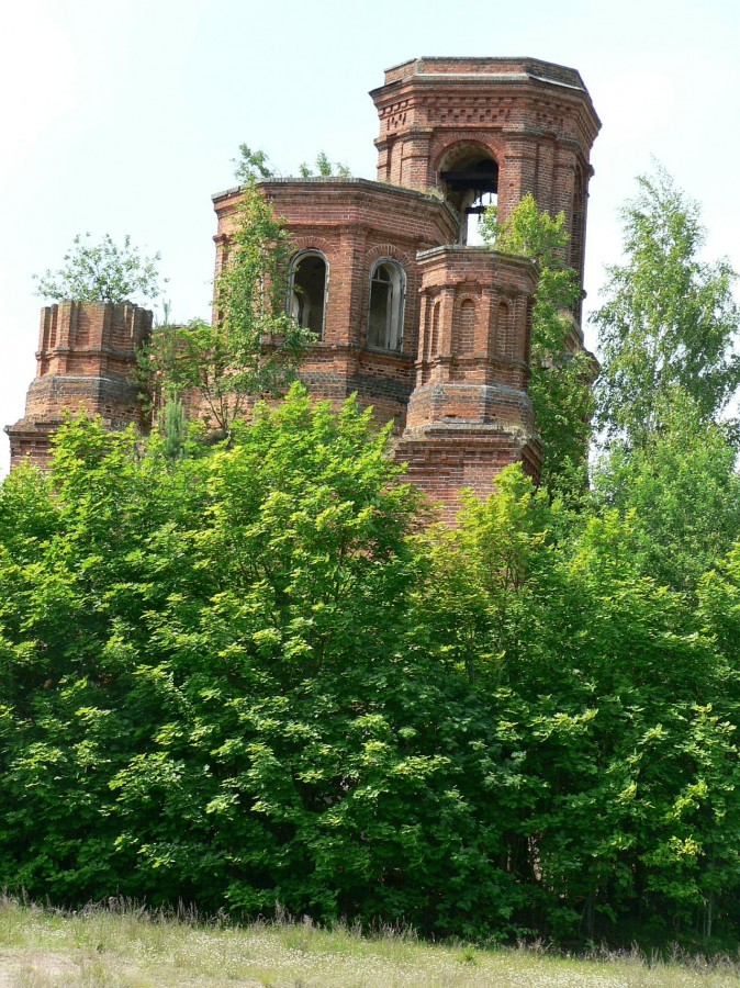 Ялмонт523