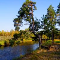 Национальный парк «Мещерский» приглашает