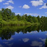 Лесная сказка «Великодворья»