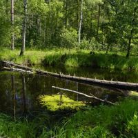 Маленькая Финляндия в сотне километров от Коломны