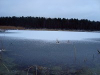 Осенний месяц в Мещёре. Ноябрь.