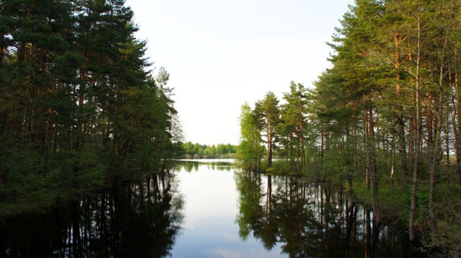 река Бородинка