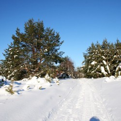 Зима в Великодворье565