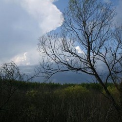 Лето&nbsp;245