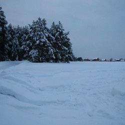 Зима в Великодворье537