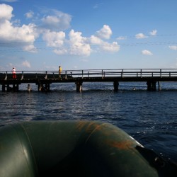 Природа мещеры летом600