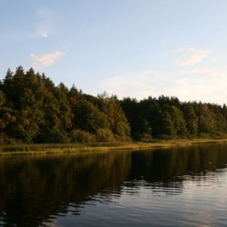 Лето&nbsp;256