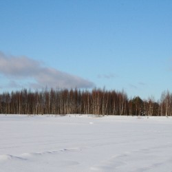 Зима в Великодворье543
