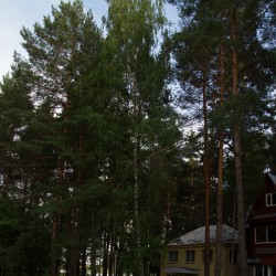 Территория40
