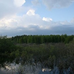 Лето&nbsp;253