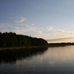 Лето&nbsp;260