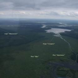 Глазами птиц