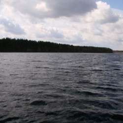 Природа Великодворья - Весна