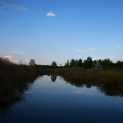 Природа мещеры летом606