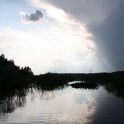Лето&nbsp;272