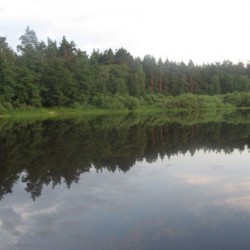 Лето&nbsp;269
