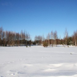 Зима в Великодворье554