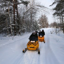 Сафари581