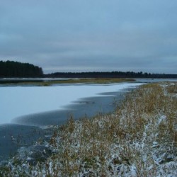 Природа Великодворья - Осень