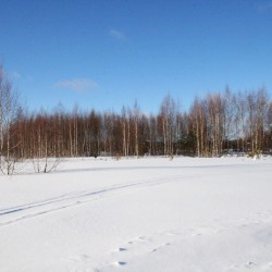 Зима в Великодворье553