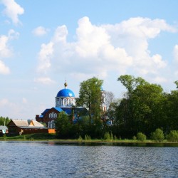 Природа мещеры летом599