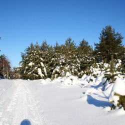 Зима в Великодворье563