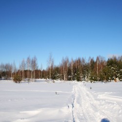 Зима в Великодворье558