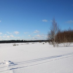 Зима в Великодворье556