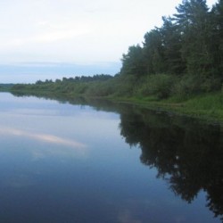 Лето&nbsp;248