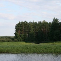 Лето&nbsp;264
