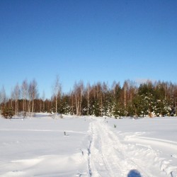 Зима в Великодворье555
