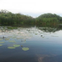 Лето&nbsp;249