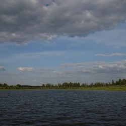 Природа Великодворья - Лето