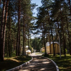Территория29