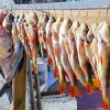 Вяленая рыба.