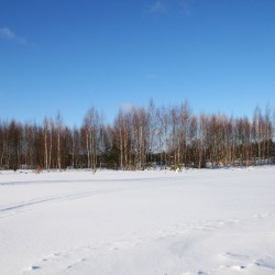 Зима в Великодворье557