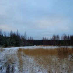 Осень&nbsp;231