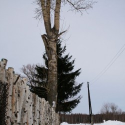 На снегоходах по окрестностям Великодворья573