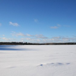 Зима в Великодворье541