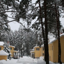 январь в Великодворье570