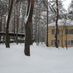 Территория55