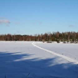 Зима в Великодворье539