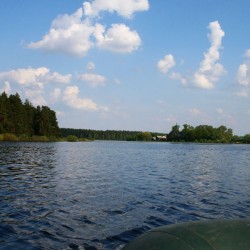 Природа мещеры летом598