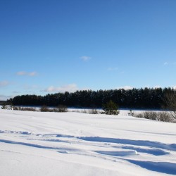 Зима в Великодворье559