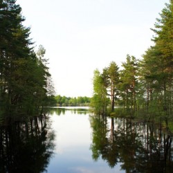 река Бородинка