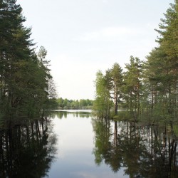 Лето&nbsp;270