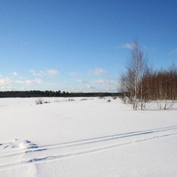 Зима в Великодворье552