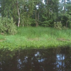 Лето&nbsp;271